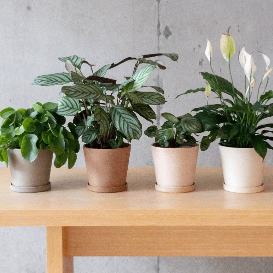 7" taupe planter