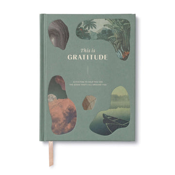 this is gratitude journal