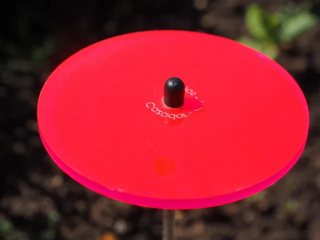 evil eye sun catcher