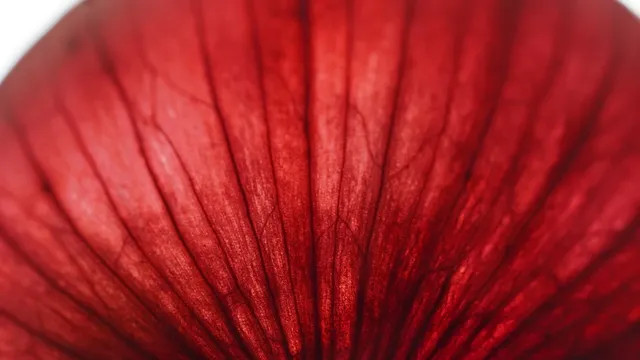 skin remedy kit