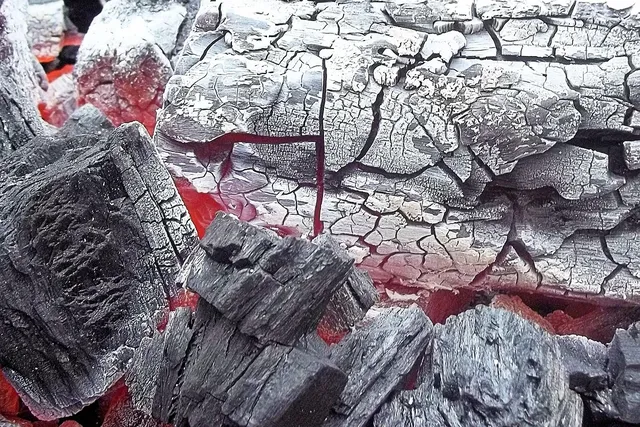 charcoal lavender soap