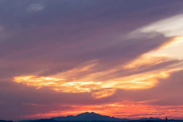 glow juicy berries