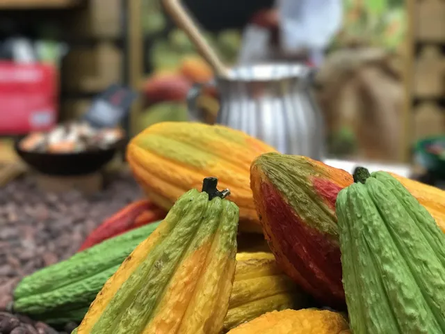 cosmic cacao