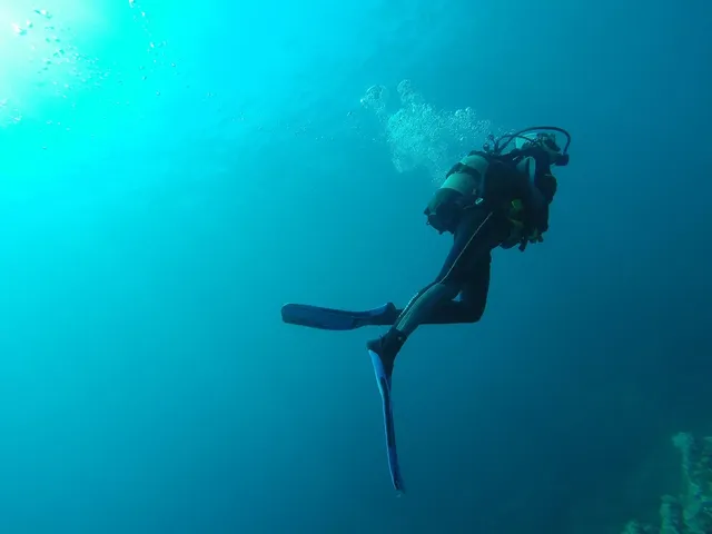 wide mouth bottle - tidal blue