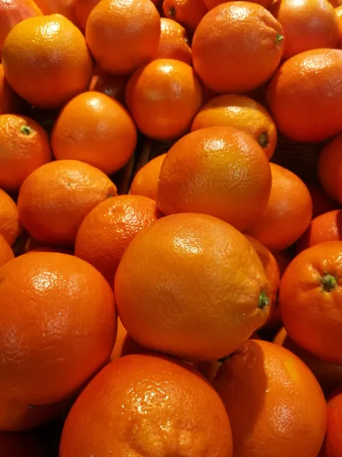 citrus floral lip balm