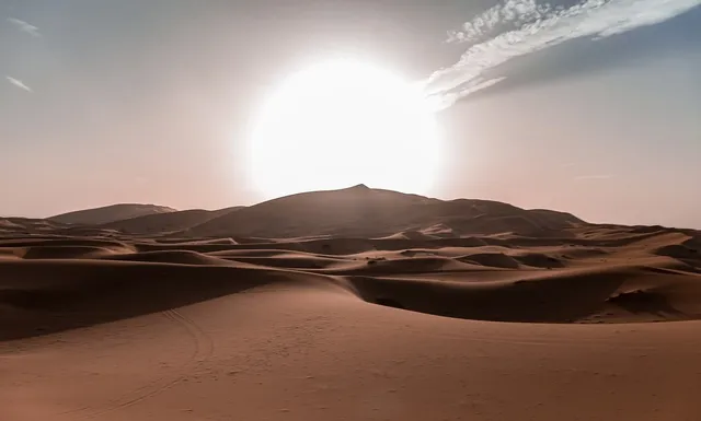 desert sun towel