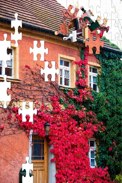steel house puzzle