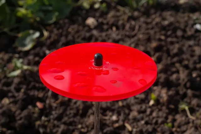 evil eye sun catcher