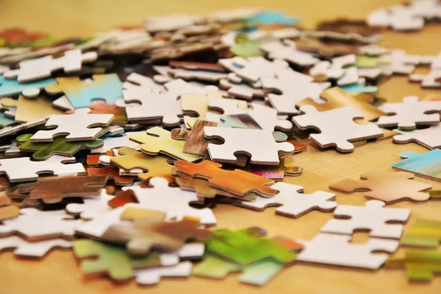 steel house puzzle