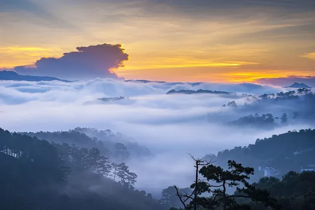ceremony mist