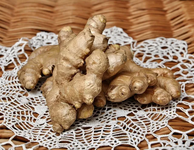 turmeric ginger tonic - jar